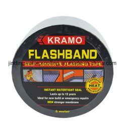 Flash band
