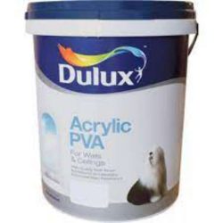 INT/EXT P.V.A 20ltrs Techiad
