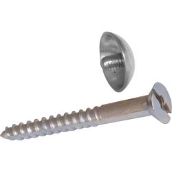 Mirror screws